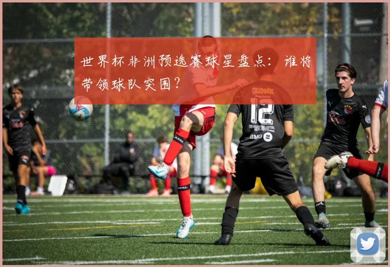 世界杯非洲预选赛球星盘点：谁将带领球队突围？